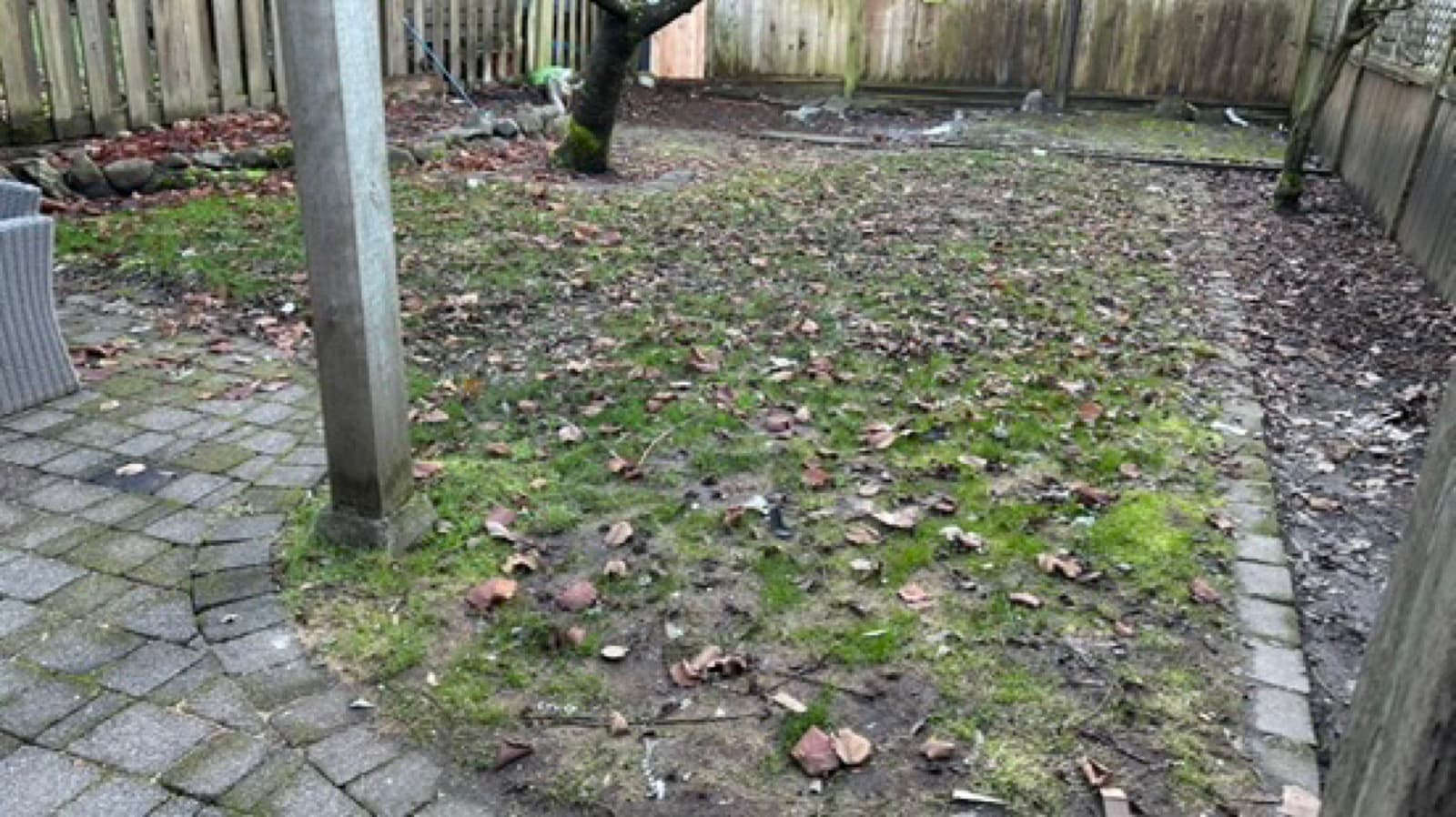 Backyard Transformation — before