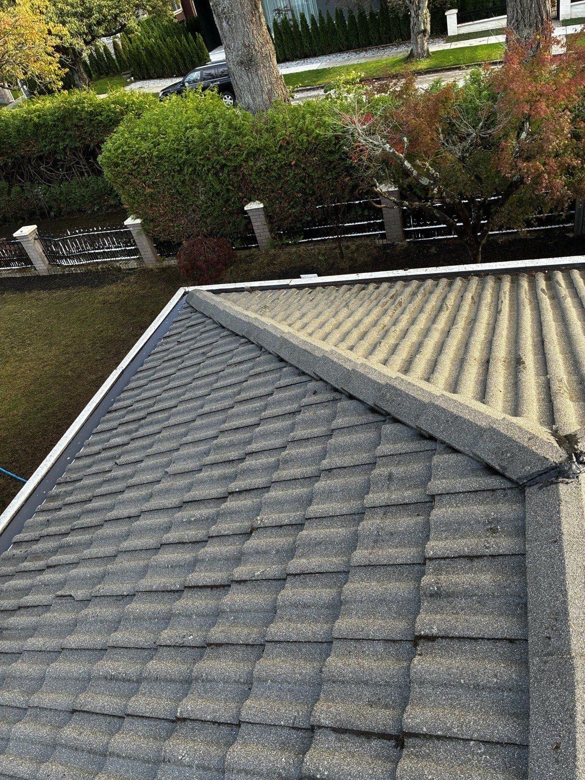 Roof Pressure Wash & Moss Removal — Port Moody