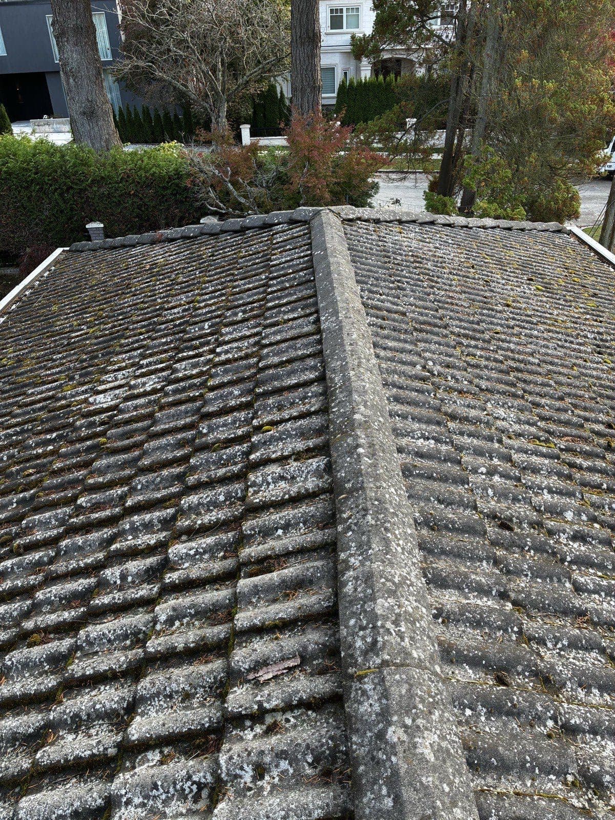Roof Pressure Wash — before
