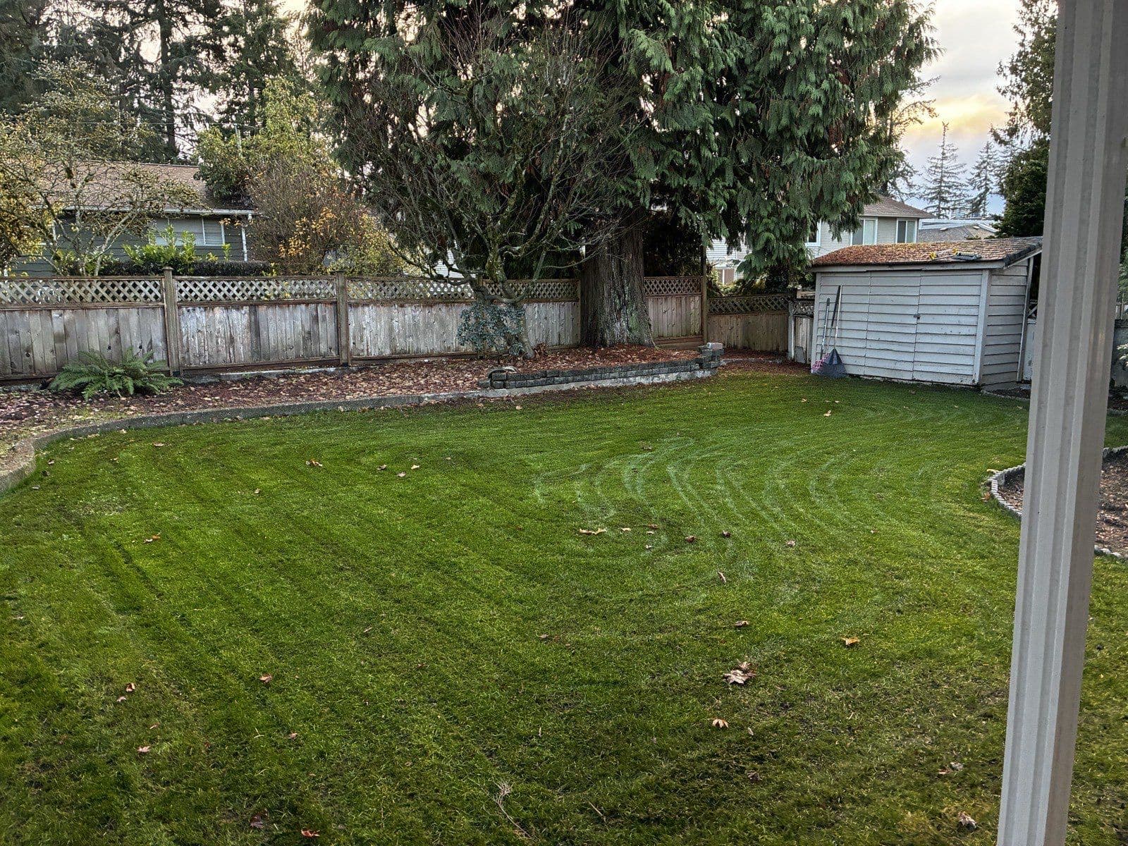 Full Lawn Renewal — Surrey