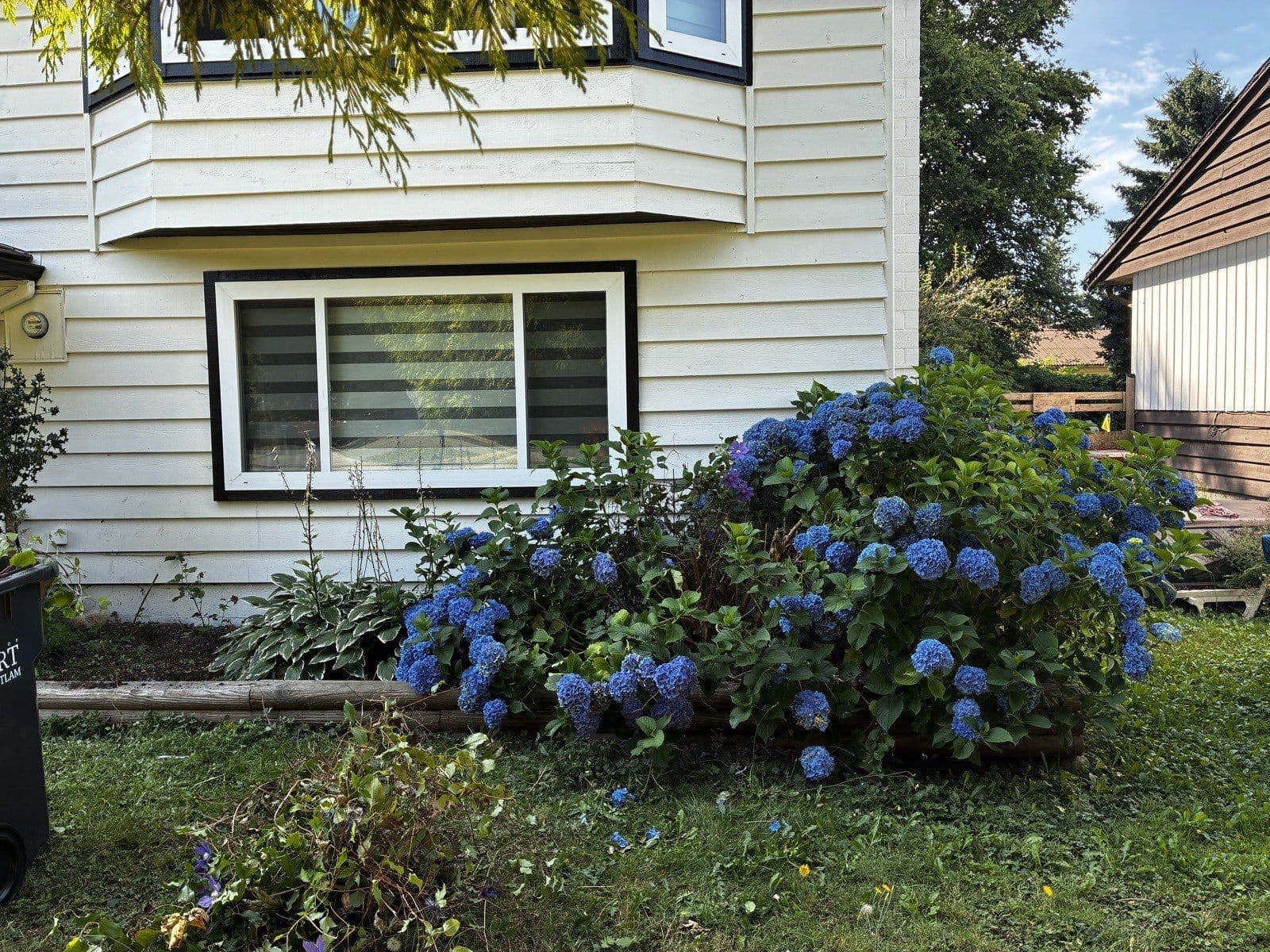 Garden Bed Reduction — before