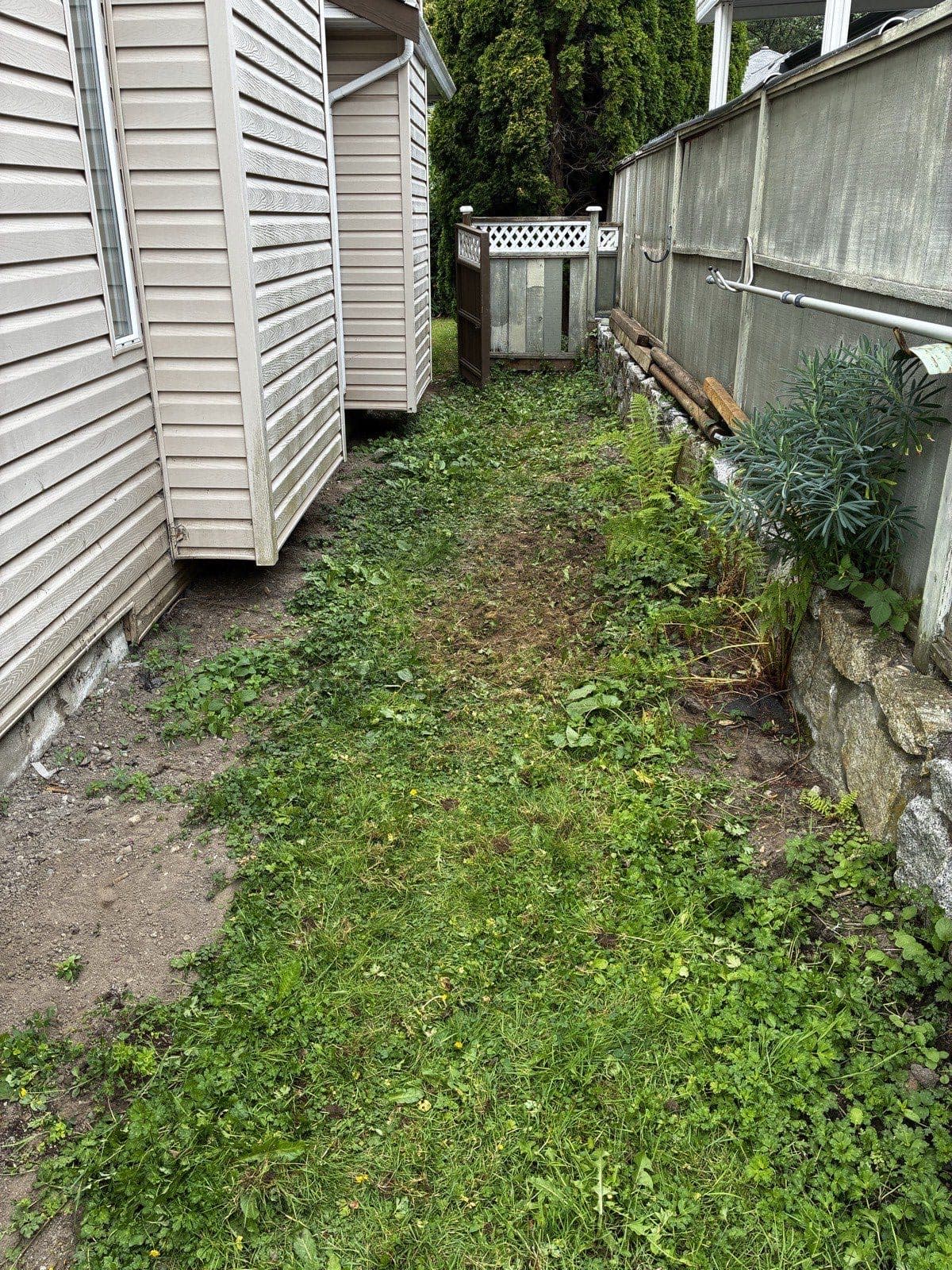 Sideyard Path Reno — before