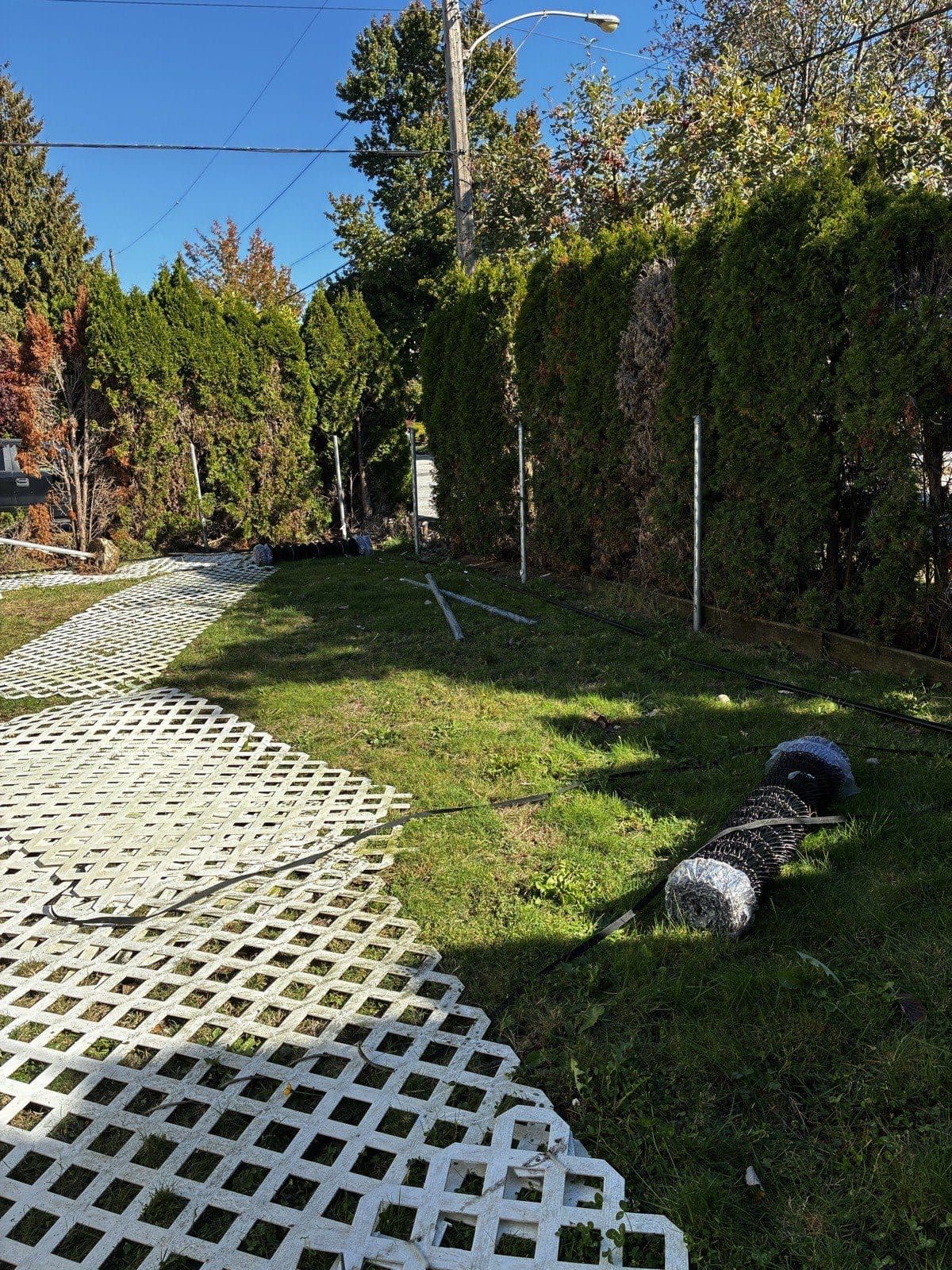 Hedge Replacement & Chain Link Fence — before