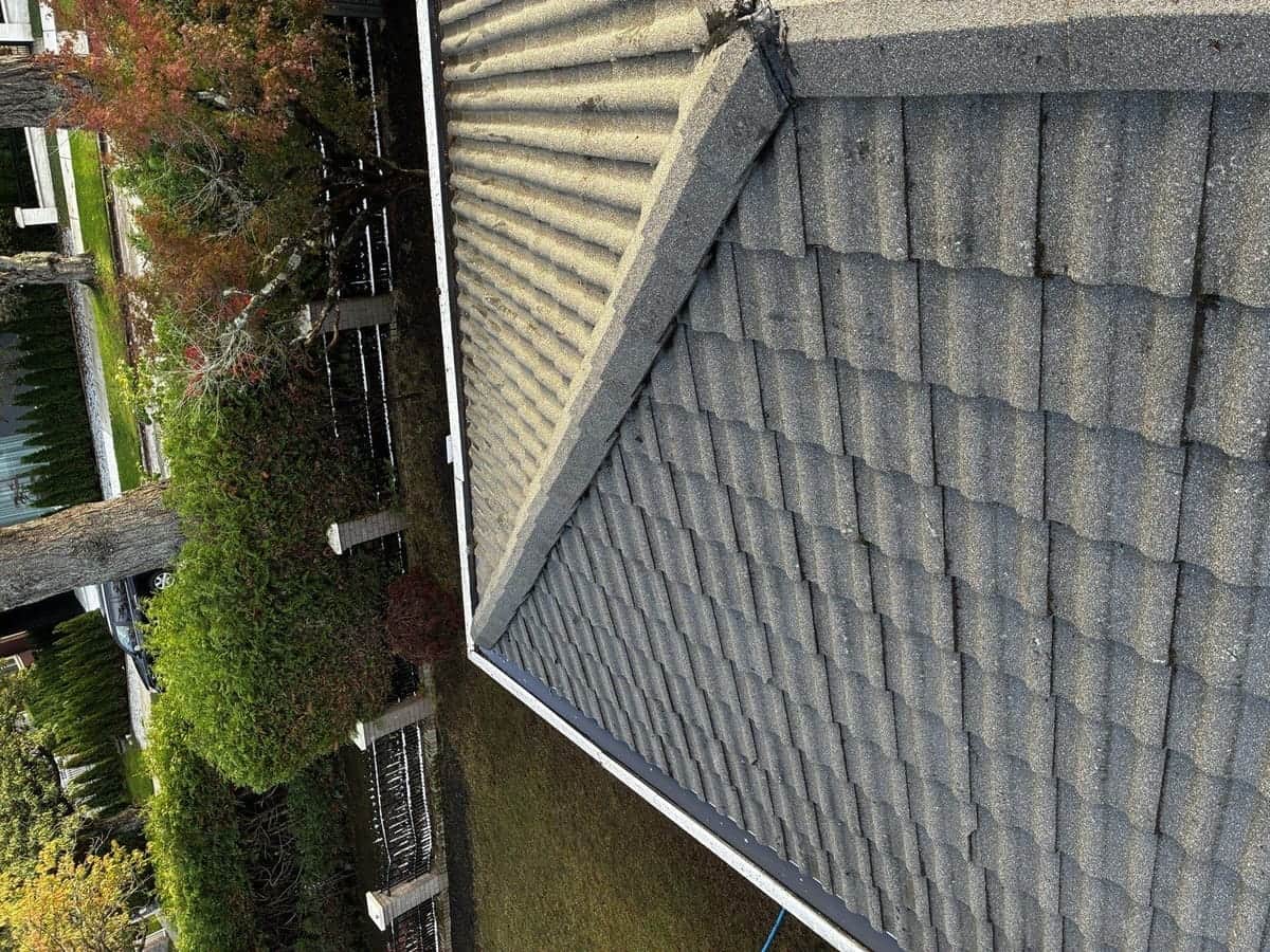Roof Pressure Wash & Moss Removal — Port Moody