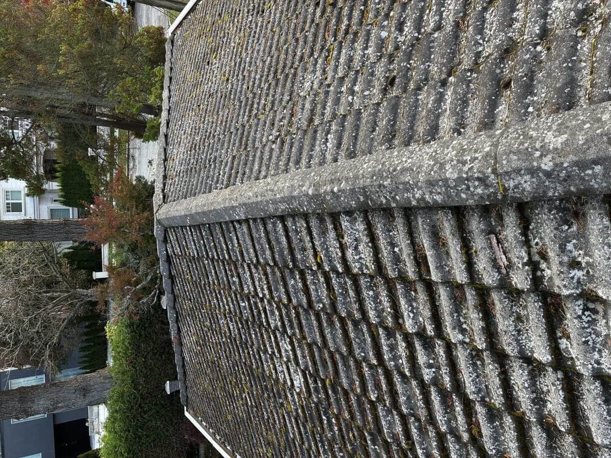 Roof Pressure Wash — before