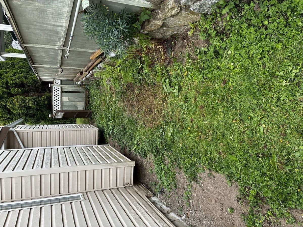 Sideyard Path Reno — before